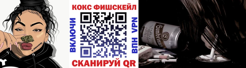 где купить   Урень  Кокаин Fish Scale 