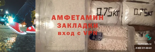 гашик Сосновый Бор