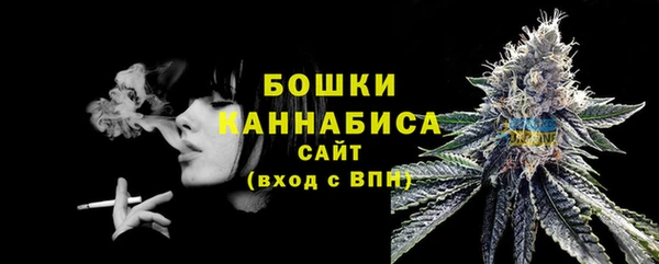 гашик Сосновый Бор