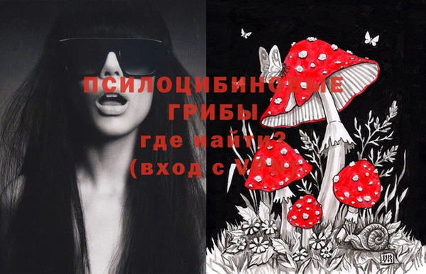 трава Щигры