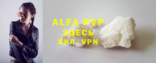 гашик Сосновый Бор