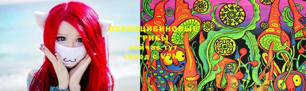 трава Сосновоборск