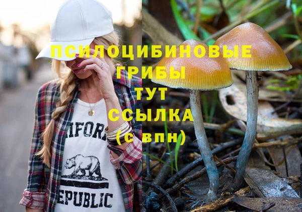 трава Сосновоборск