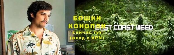 сатива Зеленодольск