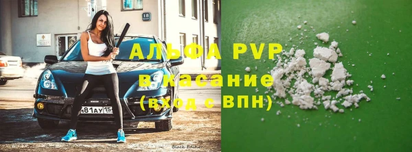 гашик Сосновый Бор