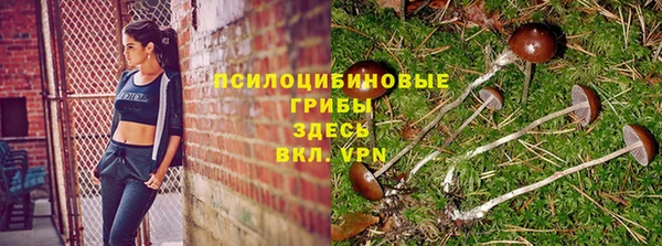 первитин Сосновка