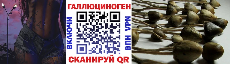 Галлюциногенные грибы Cubensis  Урень 